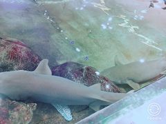 -鸿通城购物中心