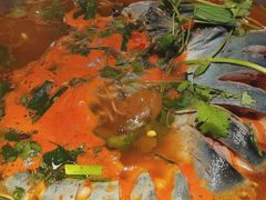 -苗家大院酸汤鱼(贵阳北站店)