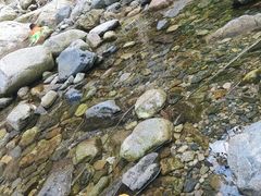 -沣峪口