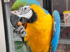 -观桥阁(锦溪店)