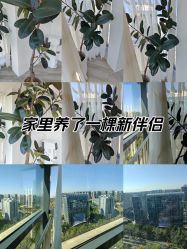 -HEYAN荷妍专业脱毛连锁机构