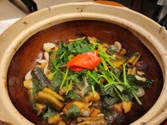 -谭厨中山传家菜.乳鸽.脆鲩鱼(华强北中航城店)