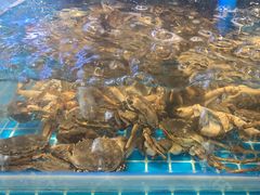 -罗马假日海鲜自助餐厅(星湖广场店)