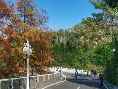 -珠海圆明新园