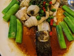 -猪肉婆私房菜(容桂总店)