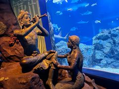 -暹罗海洋世界