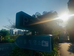 -南沙蒲洲花园