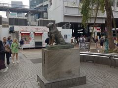 -涩谷区