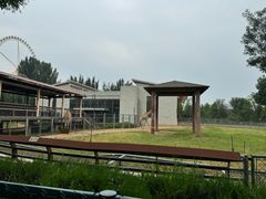 -石家庄市动物园