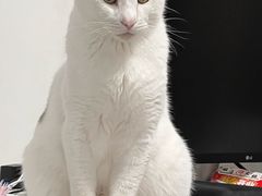 -麦当劳(北苑路店)