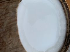 -椰爺爺·椰子冻砵仔糕