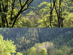 -敬亭山风景名胜区