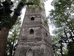 -江心屿景区