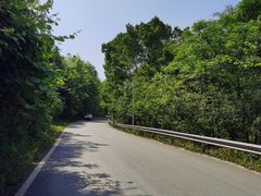 -青龙山国家森林公园