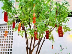 -PINTEA LAB(北京路店)