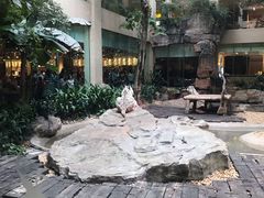 与白虎共餐-白虎自助餐厅·真老虎·景观自助餐厅(广州长隆酒店)