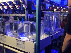 -悉尼海洋生物水族馆