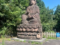 -武陵山森林公园