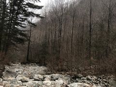 -秦岭风景区