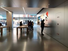 -Apple零售店(中街大悦城店)