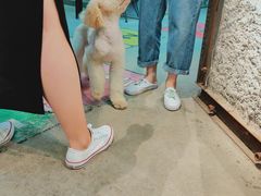 -MOJO密室逃脱(中街旗舰店)