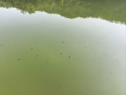 -致友月子会所旗舰店