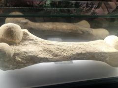 -湖南省地质博物馆