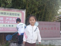 -鲁山国家森林公园