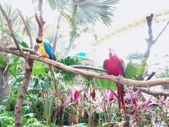 -杭州开元森泊度假乐园