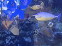 -横店影视城梦幻谷园区