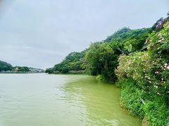 -星湖旅游景区七星岩