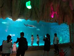 -泉城欧乐堡海洋极地世界