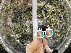 -青水瓦台汤泉(未央店)