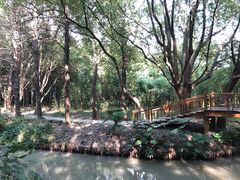 -同里国家湿地公园