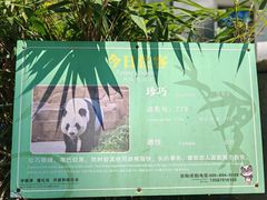 -安吉竹博园