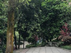 -南山植物园