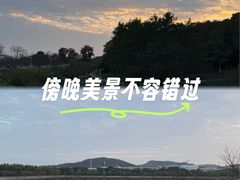 -羊山湖公园