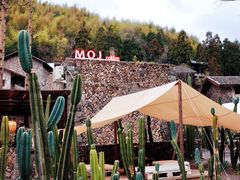 -MOJ coffee(瓯海泽雅水碓坑店)