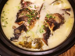 -新悦·霞浦海鲜生(上下杭店)