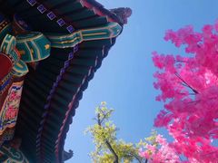 -西海子公园