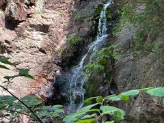 -云岫谷游猎自然风景区