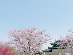 -苏州上方山国家森林公园