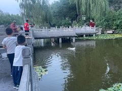 -文瀛公园