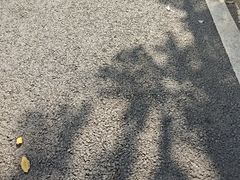 -龙舟池
