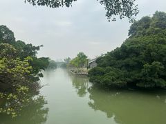 -江心屿景区