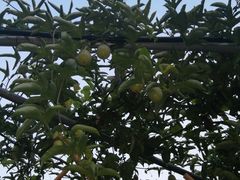 -张钰强中医正骨推拿连锁(唐家人才公寓店)