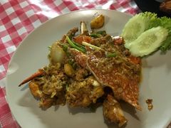 -Jungle Kitchen