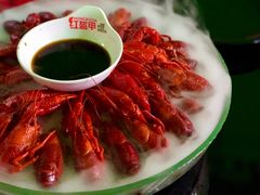 冰镇小龙虾-红钳侠小龙虾·烧烤(中赢康康谷店)