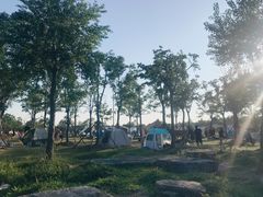 -上海海湾国家森林公园