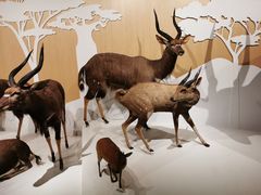 -陕西自然博物馆